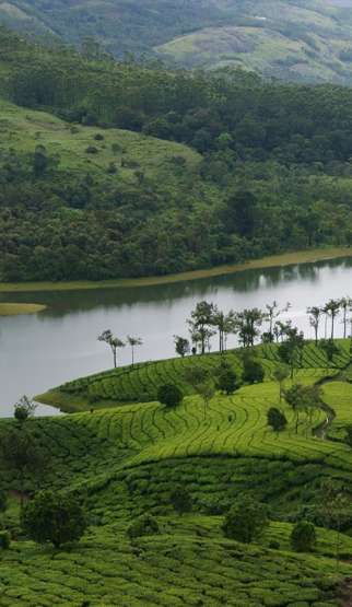 tour packages to kerala