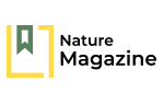low cost tour planner in ernakulam