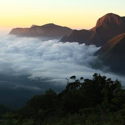 Top Station Munnar